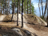 20260325_095207