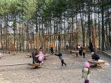 IMG-20260325-WA0013