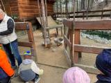 IMG-20260325-WA0015