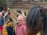 IMG-20260325-WA0019