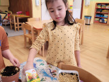 20260317_081954