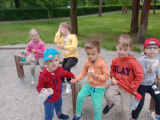 IMG_20250611_093122424_MFNR