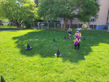 20250430_093915