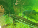 20260423_100209