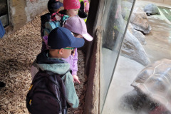 DUBEN - ZOO