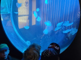 20250422_092057
