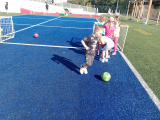 IMG_20250908_101409177_MFNR