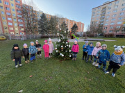 Vánoční stromeček  venkovní